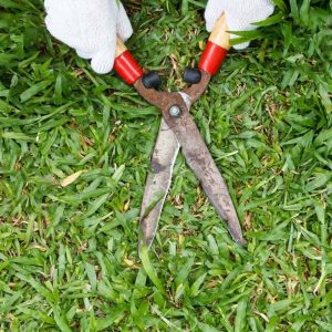 Tijera Cortar Pasto / Arbusto Jardinera 12 PuLG. Crownman. - Imagen 4